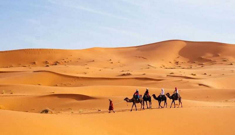 12 days tour From Casablanca to desert