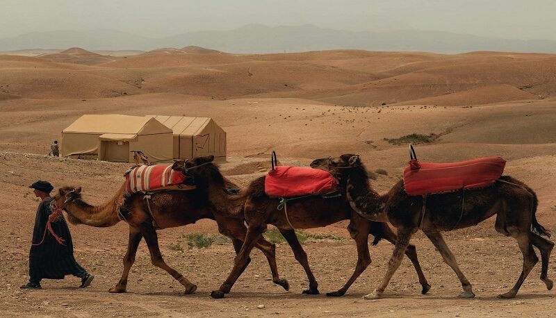 Best Camel Ride in the Agafay Desert